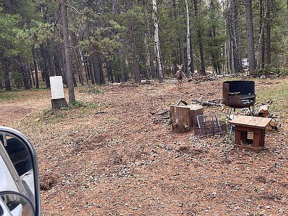 4th image of 0 Manly Rd