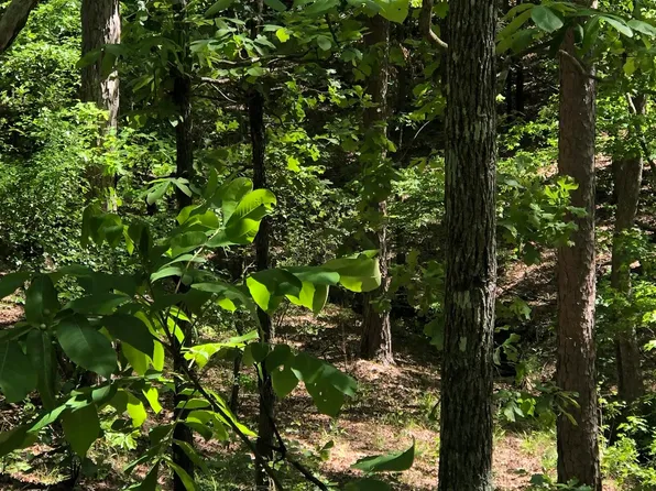 Tbd Cr 1513, Avinger, TX 75630