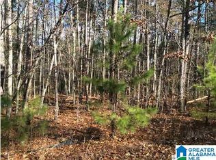 60 Haines Dr, Vincent, AL 35178