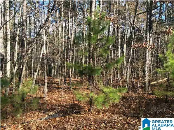 61 Haines Dr, Vincent, AL 35178