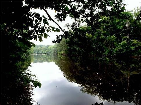 Rondout Creek looking west