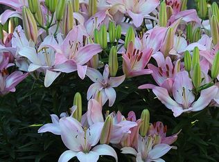 3207 Maple St N, Fargo, ND 58102