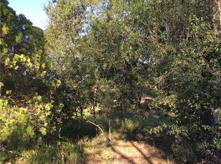 Calla Pl, Polk city, FL 33868