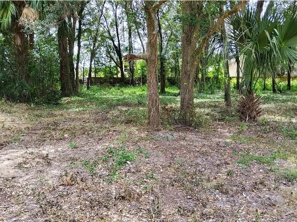 25050 Algonquin Ave Lot 9, Sorrento, FL 32776