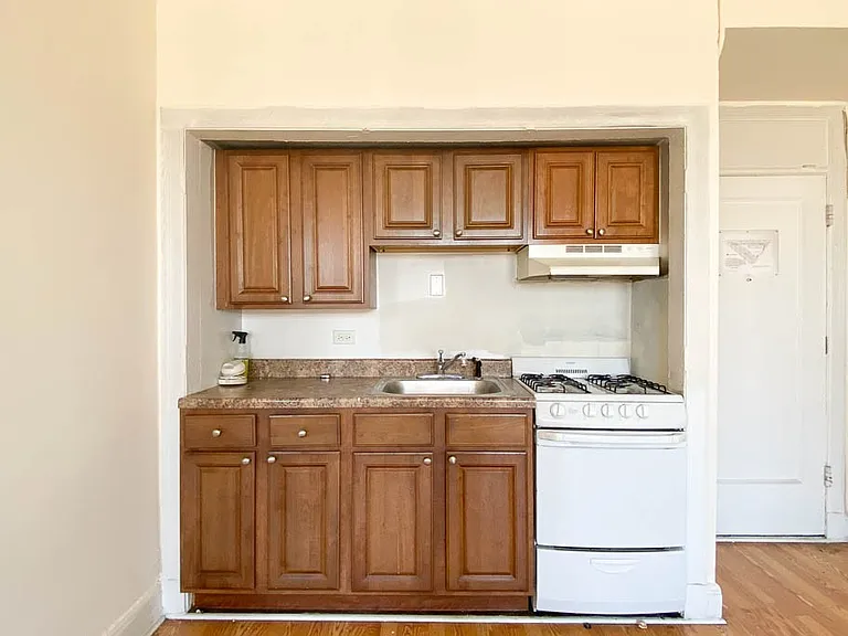 3335 W Diversey Ave #913 — Photo 2