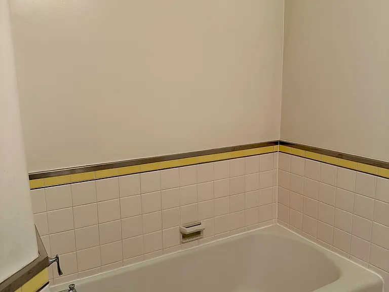 The bathroom has a bathtub, plus the shower stall