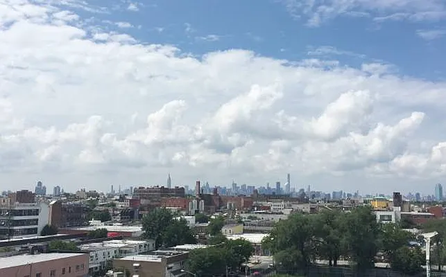 Rented by Garden Management | media 13