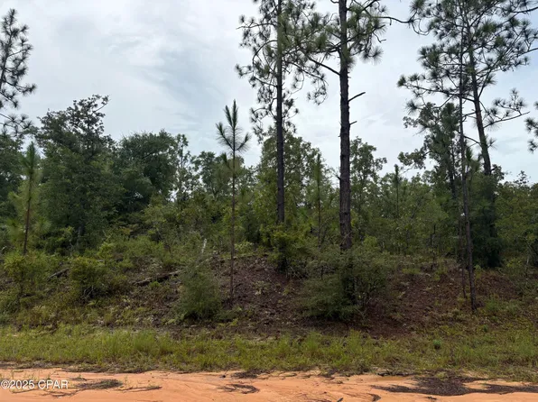 LOT 29 Odum St, Alford, FL 32420