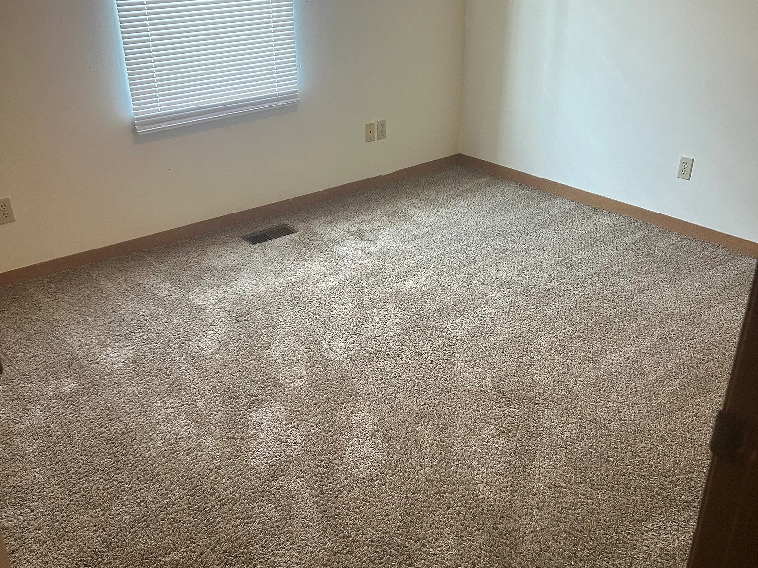 110 Daleview Drive — Photo 3