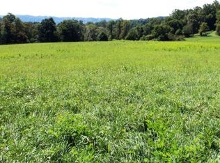 8350 Squirrel Spur Rd, Meadows Of Dan, VA 24120