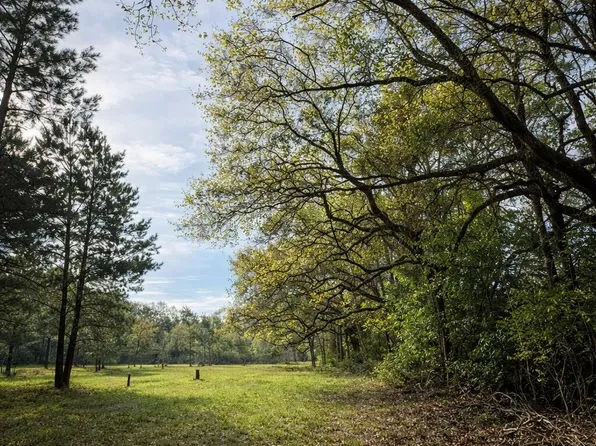 F Z Goss Rd, Picayune, MS 39466