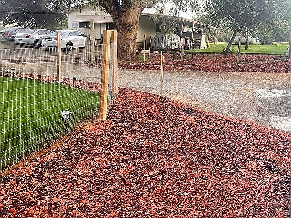 Beautiful new landscape