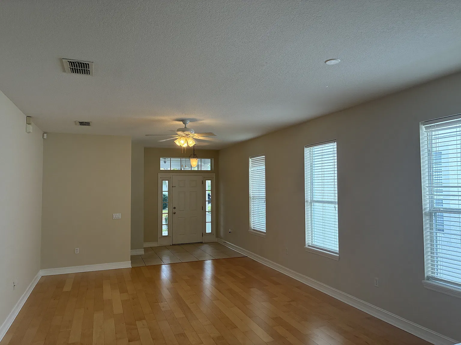 3343 Bracken Fern - 1 — Photo 2