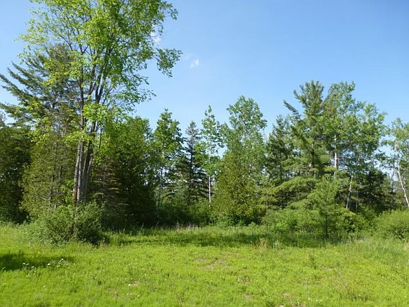 3rd image of 1020 Trowbridge Dr