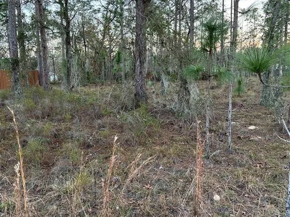 N/a Lot 15, Bronson, FL 32621