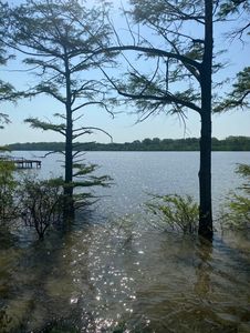 8 Neil Cv, Dundee, MS, 38626