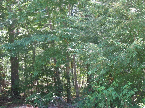 107 Highgate Dr, Fairfield Glade, TN 38558