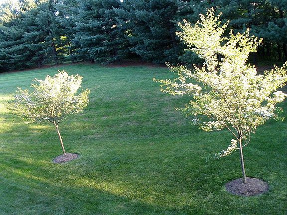 View from Living room balcony in unit 4