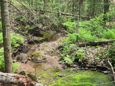 McCulloch Rd, Washburn, WI, 54891