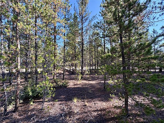 3rd image of TBD-LOT 479 Birch Drive