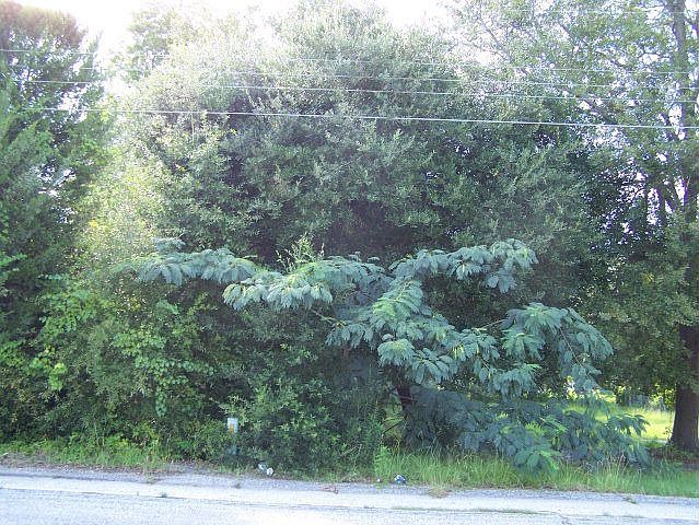 2nd image of 110 W Ave N