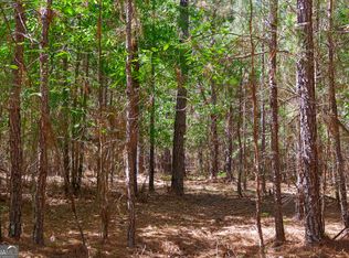 0 Effingham Hwy, Sylvania, GA 30467