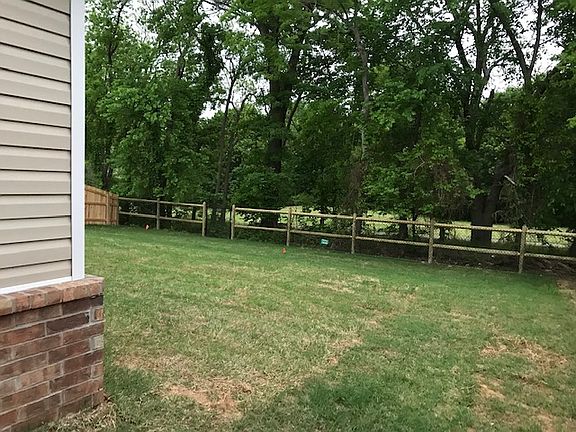 Backyard and green space