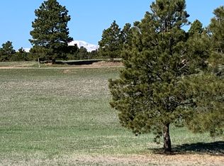 15965 Rhodes Pl, Black Forest, CO 80106