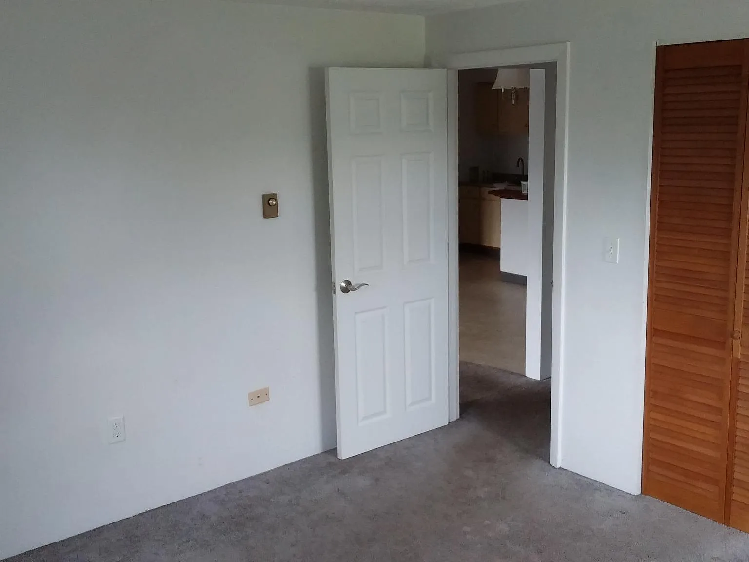 37 Ernest Ave — Photo 4