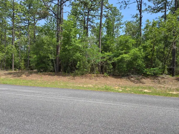 1795 W Thumper Dr, Dunnellon, FL 34434