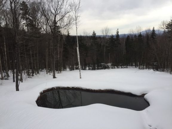 4th image of 6 Alpine Dr