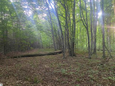 0 Wheeler Oaks Dr, Williamsburg, MI, 49690