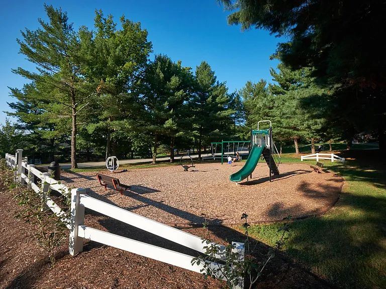 Hickory Hills — Photo 18