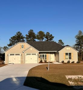 15 Gatling Way, Lakeland, GA, 31635