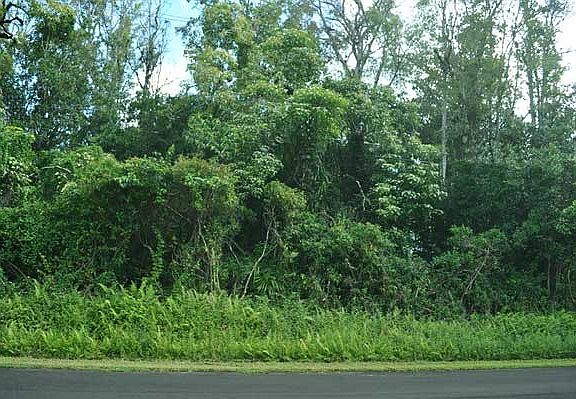 5th image of Malama St Lot 43