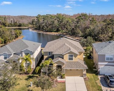 20209 Merry Oak Ave, Tampa, FL, 33647