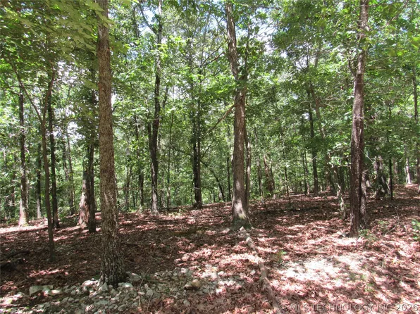 (undisclosed Address), Proctor, OK 74457