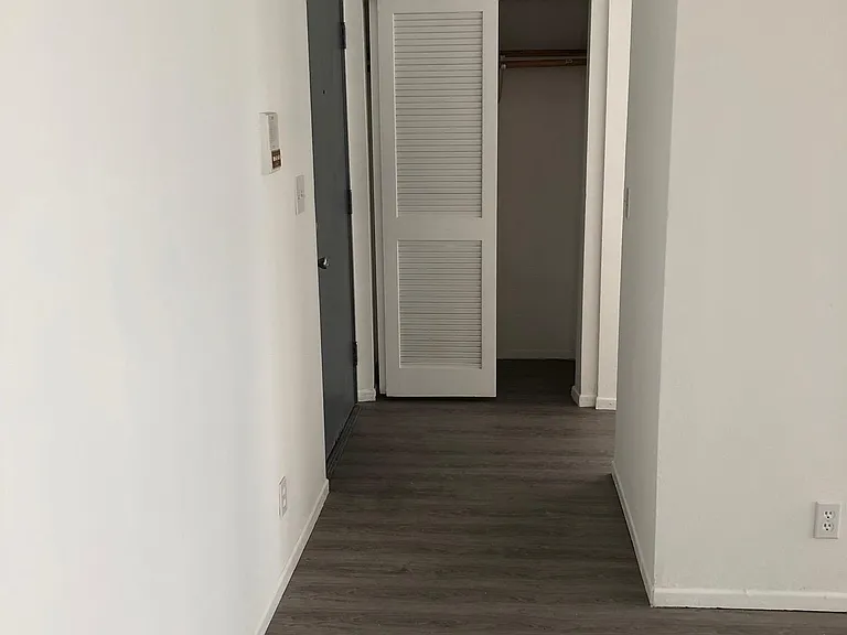 Entrance and hallway closet