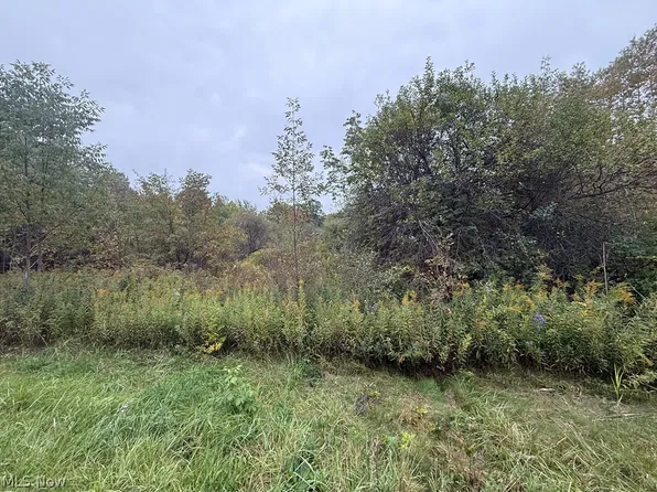 Clay St, Thompson, OH 44086