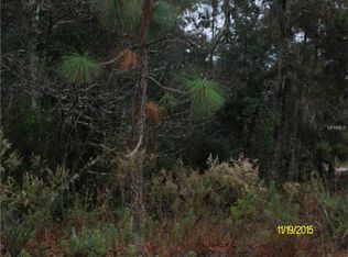 2561 W Sheila Dr, Citrus Springs, FL 34433