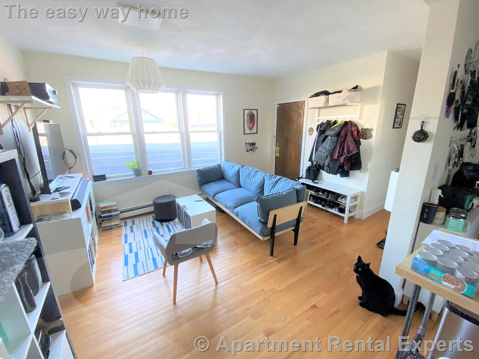 2 bed, 800 sqft, $3,200 — Photo 2