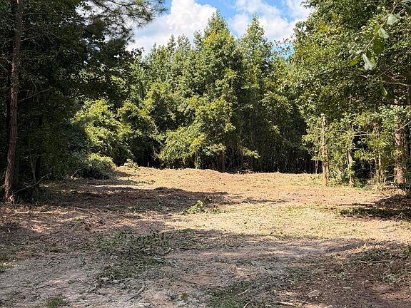 4th image of 1547B Pine Valley Dr