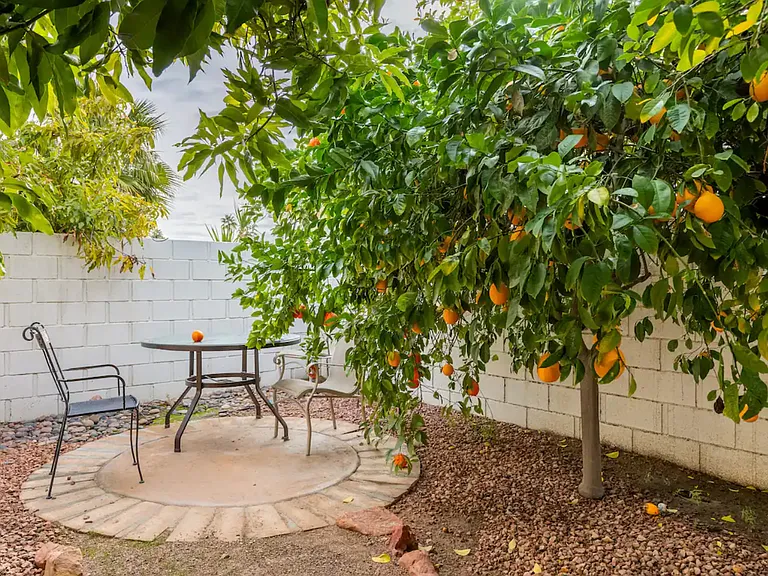 40685 Cabana Ct — Photo 22