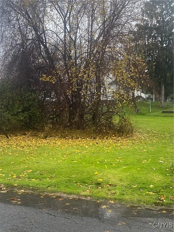 N Niagara Ave #3 photo 1