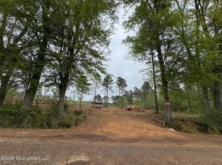6 Dinan Salem Rd, Tylertown, MS 39667