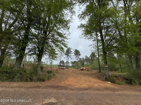6 Dinan Salem Rd, Tylertown, MS 39667