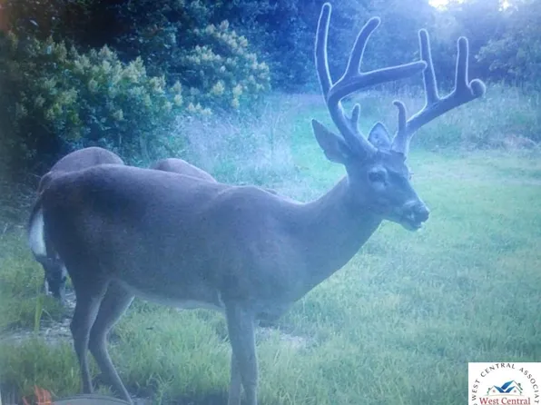 175 SE 1275 Private Rd, Clinton, MO 64735