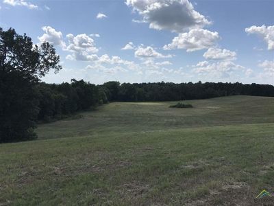 19538 County Road 2142, Troup, TX, 75789