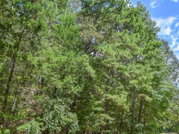 County Road 2337 Lot 1, Tyler, TX 75707