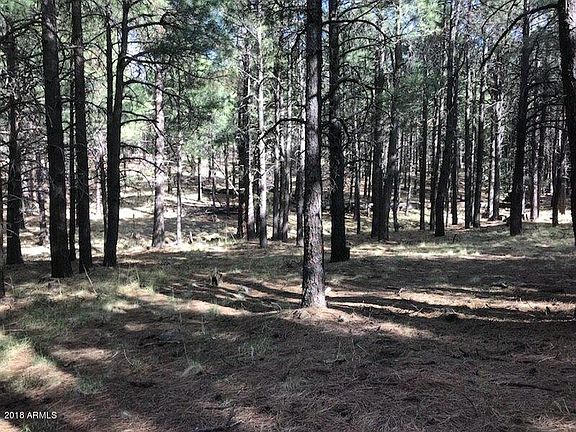 3rd image of 646 Krohn Ln